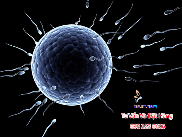 Winmax For Men chữa vô sinh - tinh trùng yếu